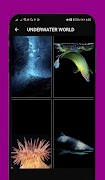 Dark Wallpapers اسکرین شاٹ 6