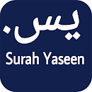 Surah Yaseen With Audio Translation APK