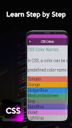 CSS Learn Cartaz