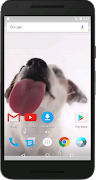 Dog Licks Screen Wallpaper screenshot 7
