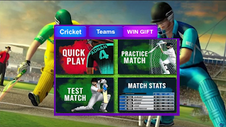 Real cricket 2022 Riddle اسکرین شاٹ 1