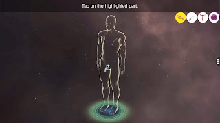 Human Reproductive Organs 포스터