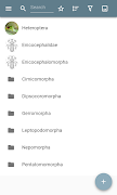 پوستر Bugs