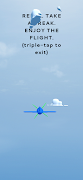 Joy Flight 포스터