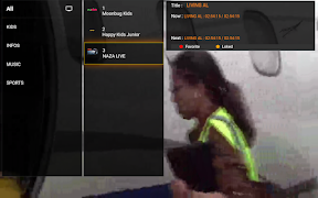 SETIPTV - SETSYSTEME PLAYER ภาพหน้าจอ 7