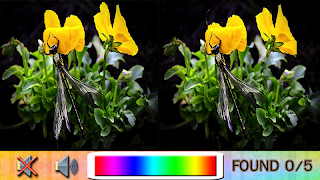 Find Difference flower garden capture d'écran 3