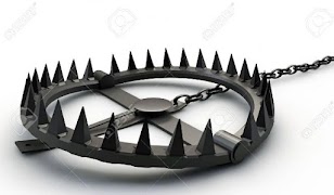 Best Animal Trap syot layar 5