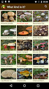 MushtoolPro - Mushroom 스크린샷 2