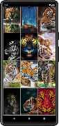 Tiger Wallpapers | Cool tigers screenshot 3