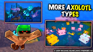 More Axolotl Mod for Minecraft Screenshot 6