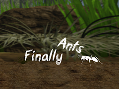 Finally Ants 海报