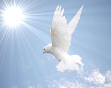 Espiritu Santo скриншот 1