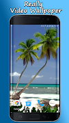 Ozean Strand Live-Hintergründe Plakat