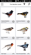 Warbler Guide App ảnh chụp màn hình 2
