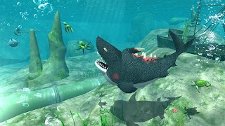 Whale Shark Attack Simulator Ekran Görüntüsü 7