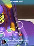 SynapsAR screenshot 7