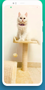 Cat wallpaper ภาพหน้าจอ 6