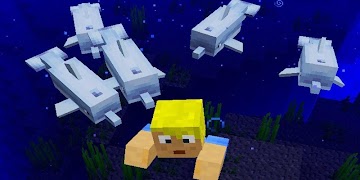 Dolphin Mod for Minecraft スクリーンショット 1