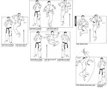 Aprende Karate Para Principiantes captura de pantalla 1