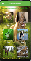 Animals sound 스크린샷 3