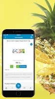 Novo Mercado syot layar 2