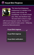 Koyal Bird Ringtone screenshot 1