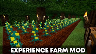 XP Mod MCPE 截图 5