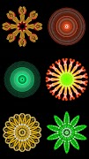 Circular captura de pantalla 6