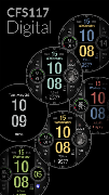 CFS117 Digital screenshot 1