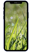 Fondos de pantalla de hierba captura de pantalla 1