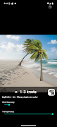 Palm Wind screenshot 4