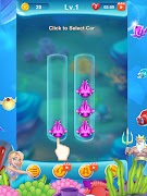 Fish Joy Sort Poster