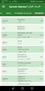 Arabic Baby Names screenshot 4