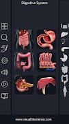 Digestive System Anatomy 海报