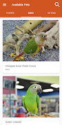 Petland screenshot 1