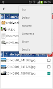 File Manager by Moniusoft screenshot 2