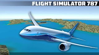Flight Simulator 787 poster
