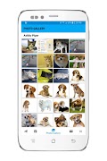 DaycareWebWatch スクリーンショット 4