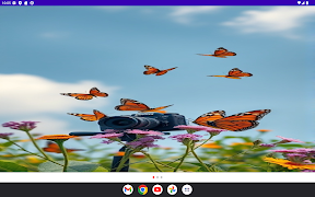 ButterflyID ảnh chụp màn hình 4