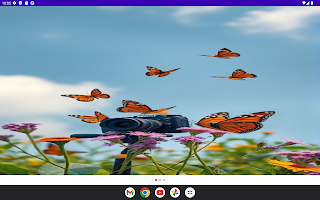 ButterflyID screenshot 4