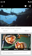 Okyanus ve Deniz Hayvanları Belgeseli Ekran Görüntüsü 3