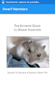 Dwarf Hamsters تصوير الشاشة 1