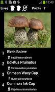 Myco free - Mushroom Guide 截圖 7