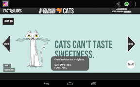 Copy Text From Screen Trial screenshot 2