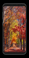 Autumn Wallpaper poster