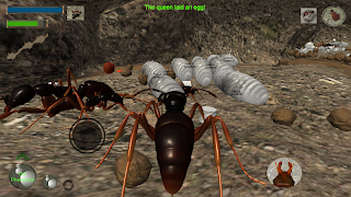 Ant Simulation 3D ภาพหน้าจอ 3