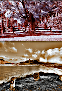 NIR Color screenshot 2