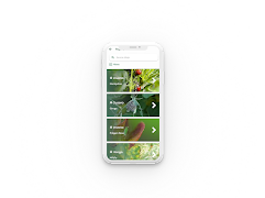 NaPets screenshot 1