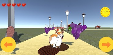 Корги screenshot 4