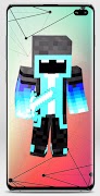 Entity Skin for Minecraft ภาพหน้าจอ 3